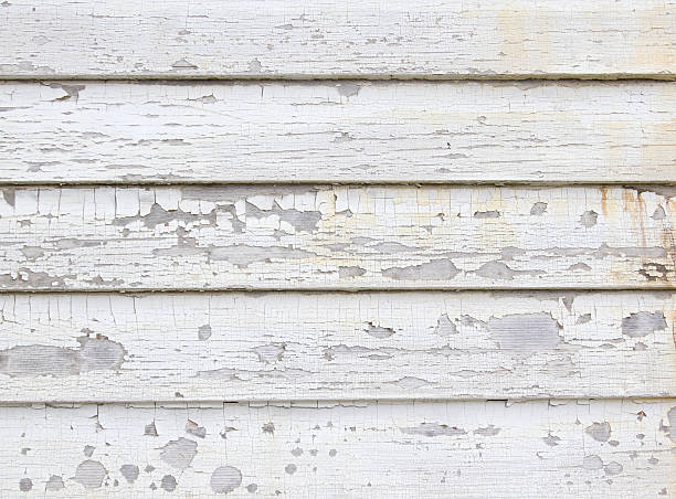 Best Siding Removal and Disposal  in Miramar Beach, FL